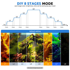 SEAOURA éclairage sur aquarium planté, met en valeur couleurs et contraste
