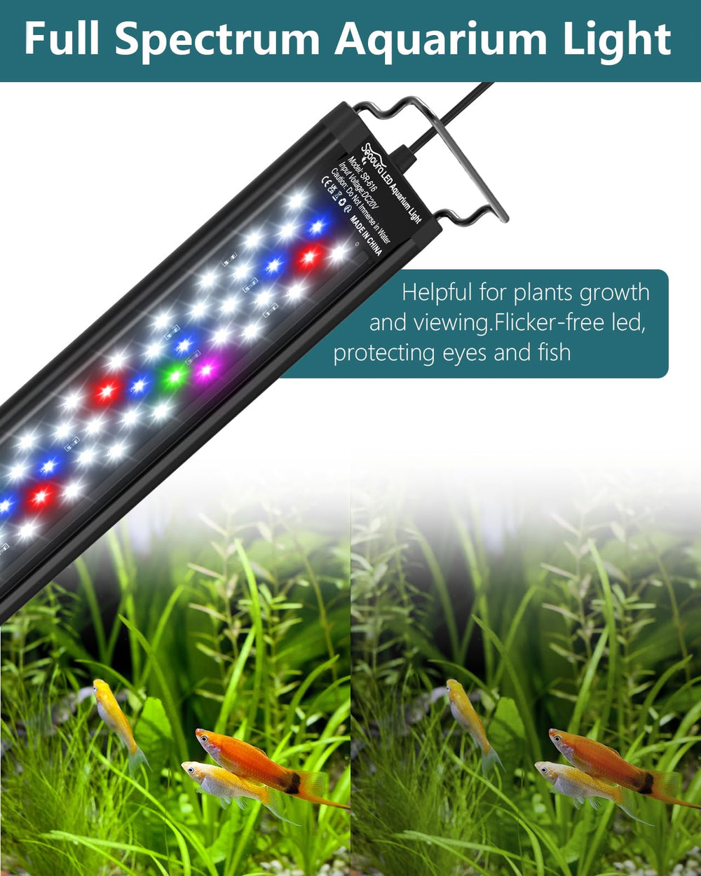 SEAOURA éclairage à spectre complet illuminant plantes et couleurs des poissons