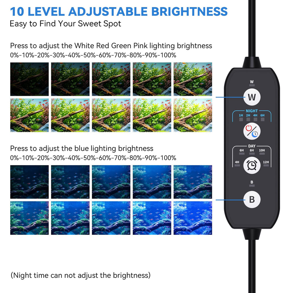 SEAOURA lampe éclairant un aquarium planté améliorant couleurs des plantes