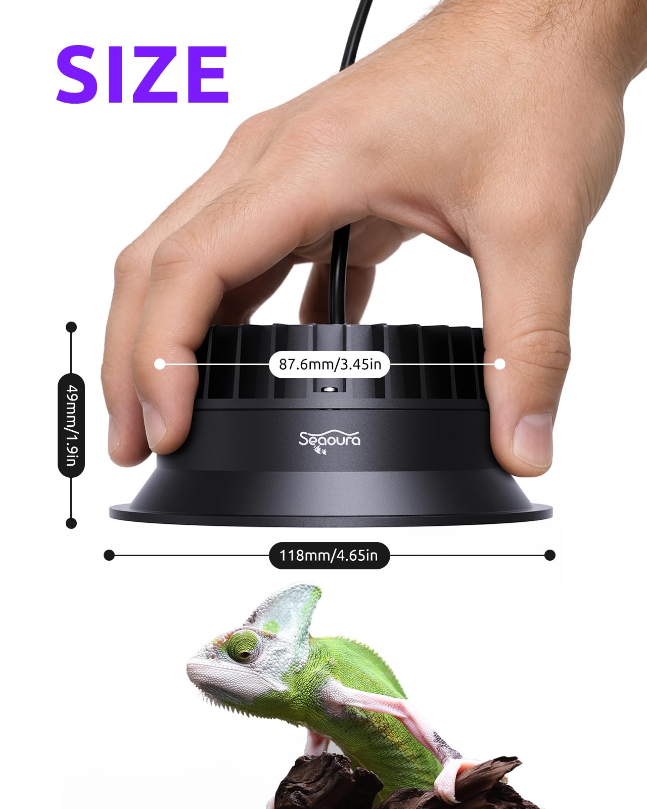 SEAOURA lampe installée dans terrarium illustrant éclairage uniforme