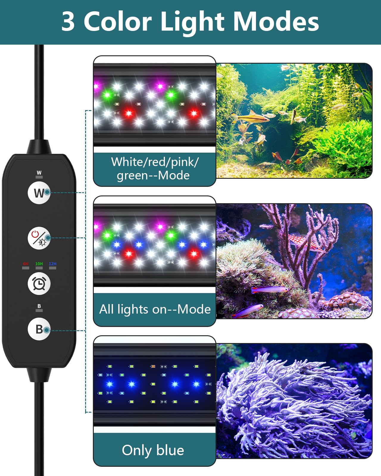 SEAOURA gros plan des puces SMD2835 pour performance lumineuse et durabilité