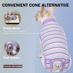 Sebdtco chien portant la combinaison à la maison favorisant repos et mobilité