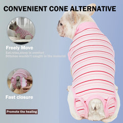 Sebidtco chienne portant la combinaison pour récupération paisible après opération