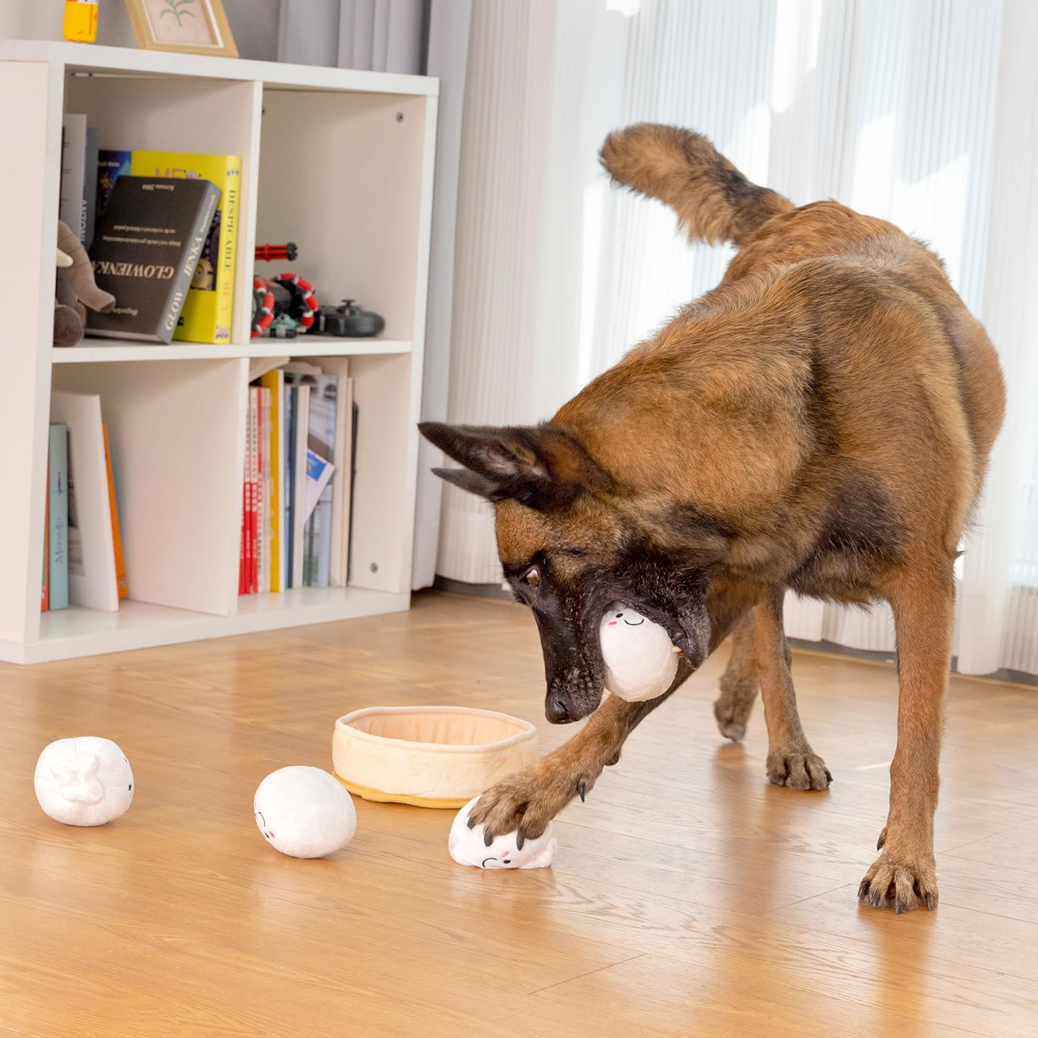 Sedioso jouet en jeu avec chien pour exercice de lancer et rapport