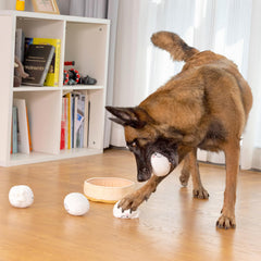 Sedioso jouet en jeu avec chien pour exercice de lancer et rapport