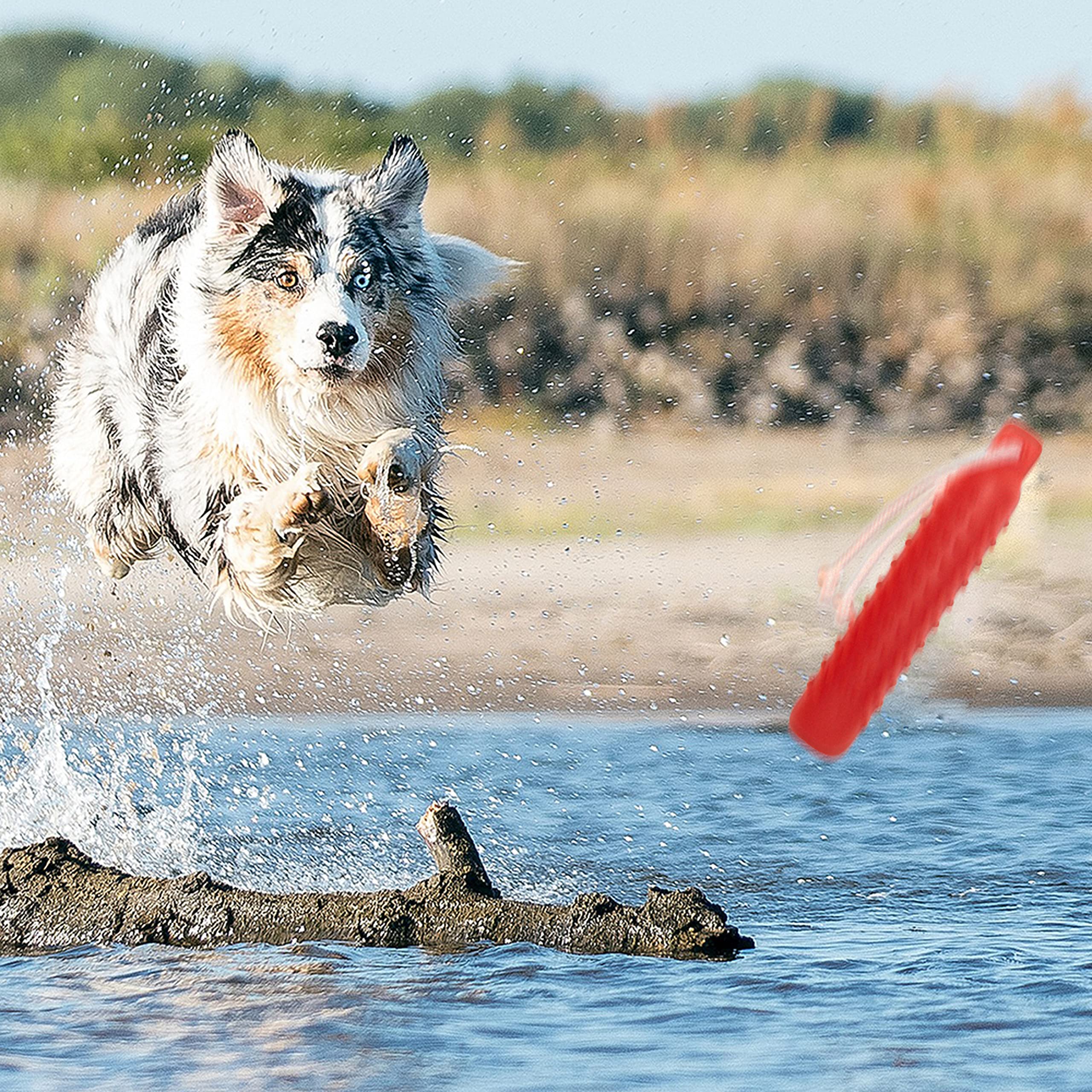 Segzwlor scène de plage montrant jeu actif et stimulation physique