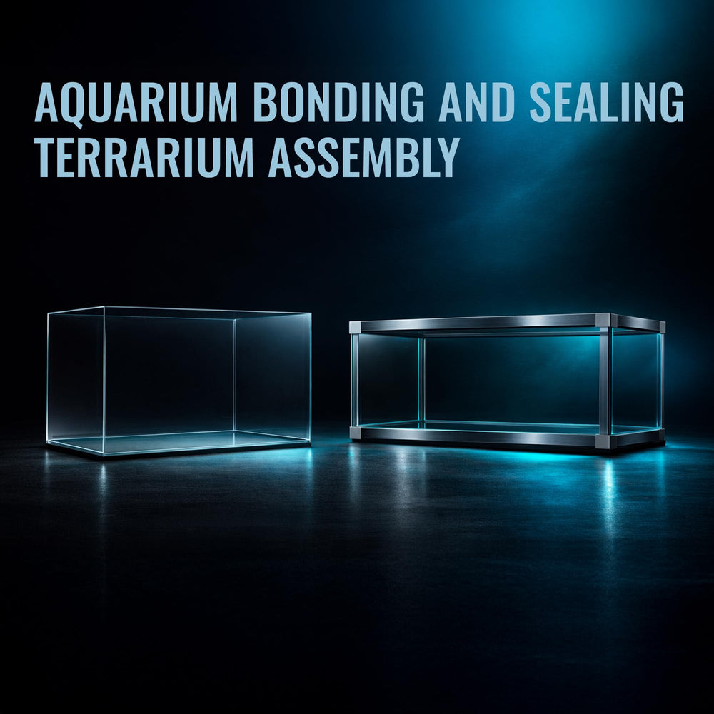 selsil réparation d'aquarium avant et après montrant résultat transparent durable