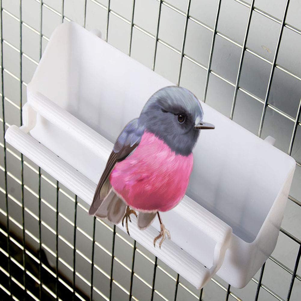 Seneme distributeur en usage avec oiseau buvant et mangeant