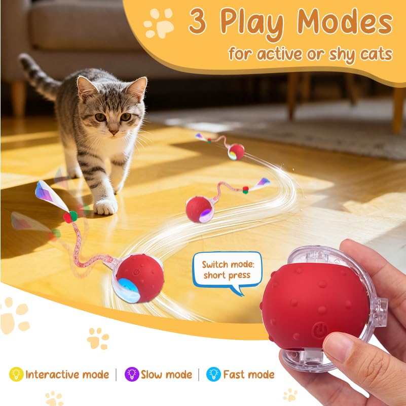 Sentoo balle en mouvement sur parquet avec chat poursuivant – encourage l'exercice