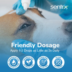 Sentrx administration sur un chat pour hydratation ciblée