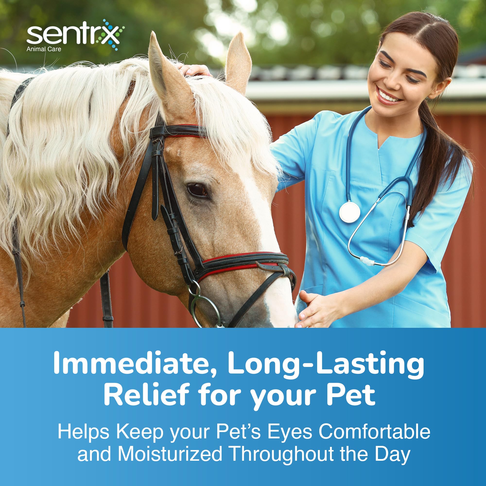 Sentrx application sur un chien offrant confort oculaire rapide