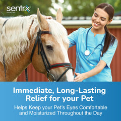 Sentrx application sur un chien offrant confort oculaire rapide