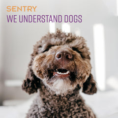 Sentry texture du baume en gros plan illustrant l'application douce