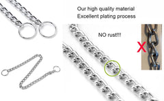 Serijoars collier sur chiot en entraînement garantissant corrections douces