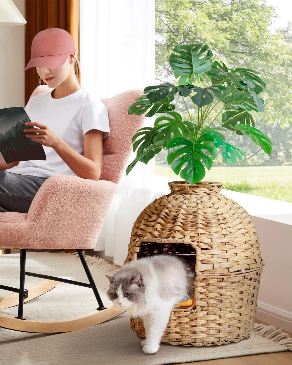SETVSON comparaison d'échelle, montre la taille adaptée pour chats