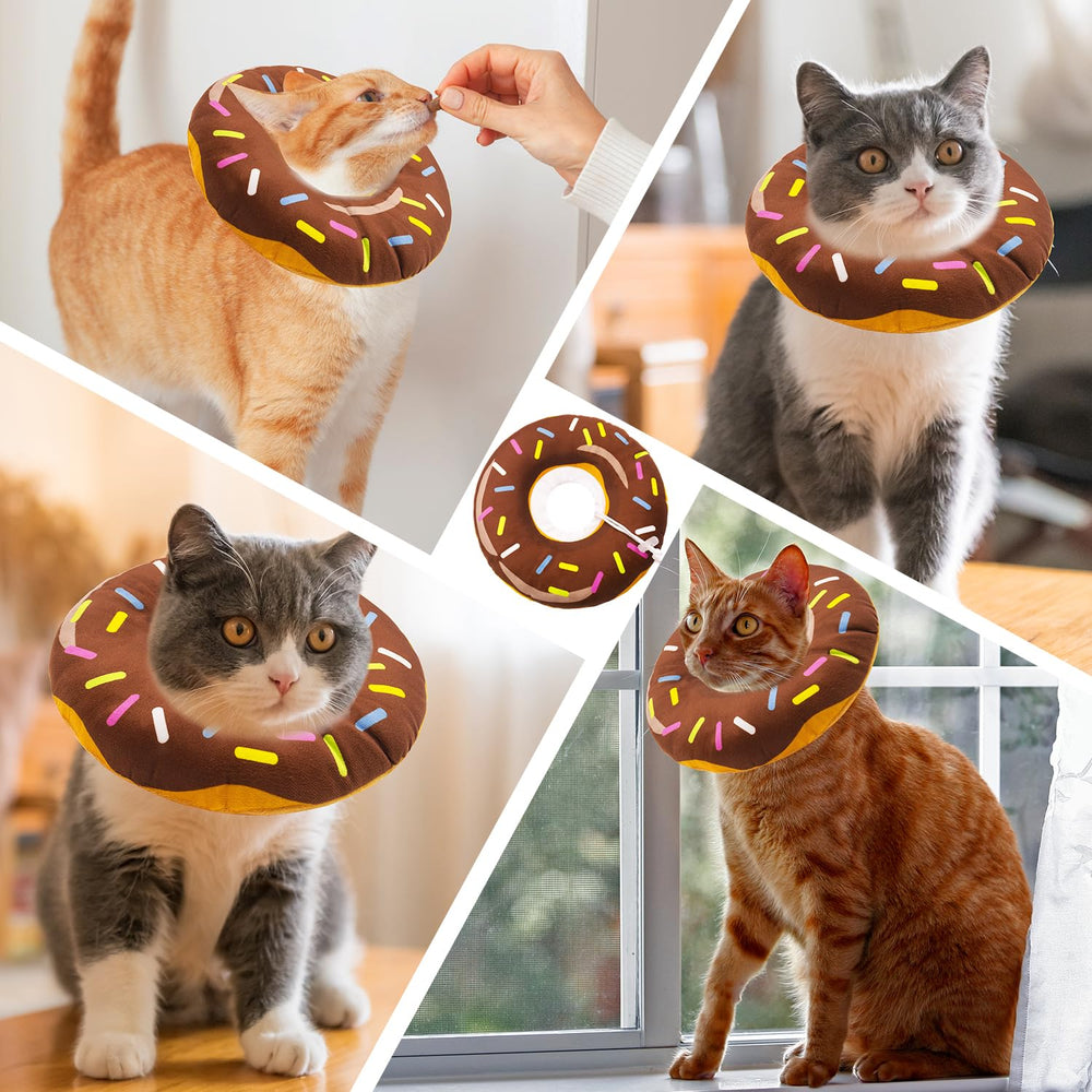 Seyezo chat en intérieur portant le donut assurant repos et sécurité