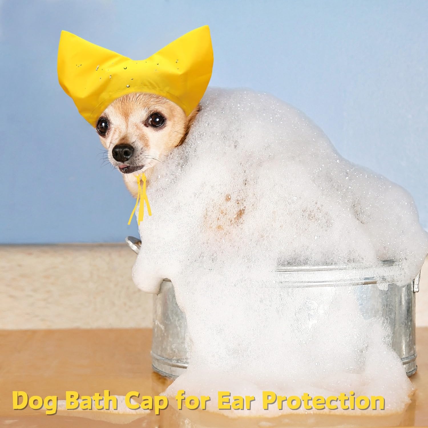 SEZDEKI chat Sphynx essayant le bonnet confortable et ajustable
