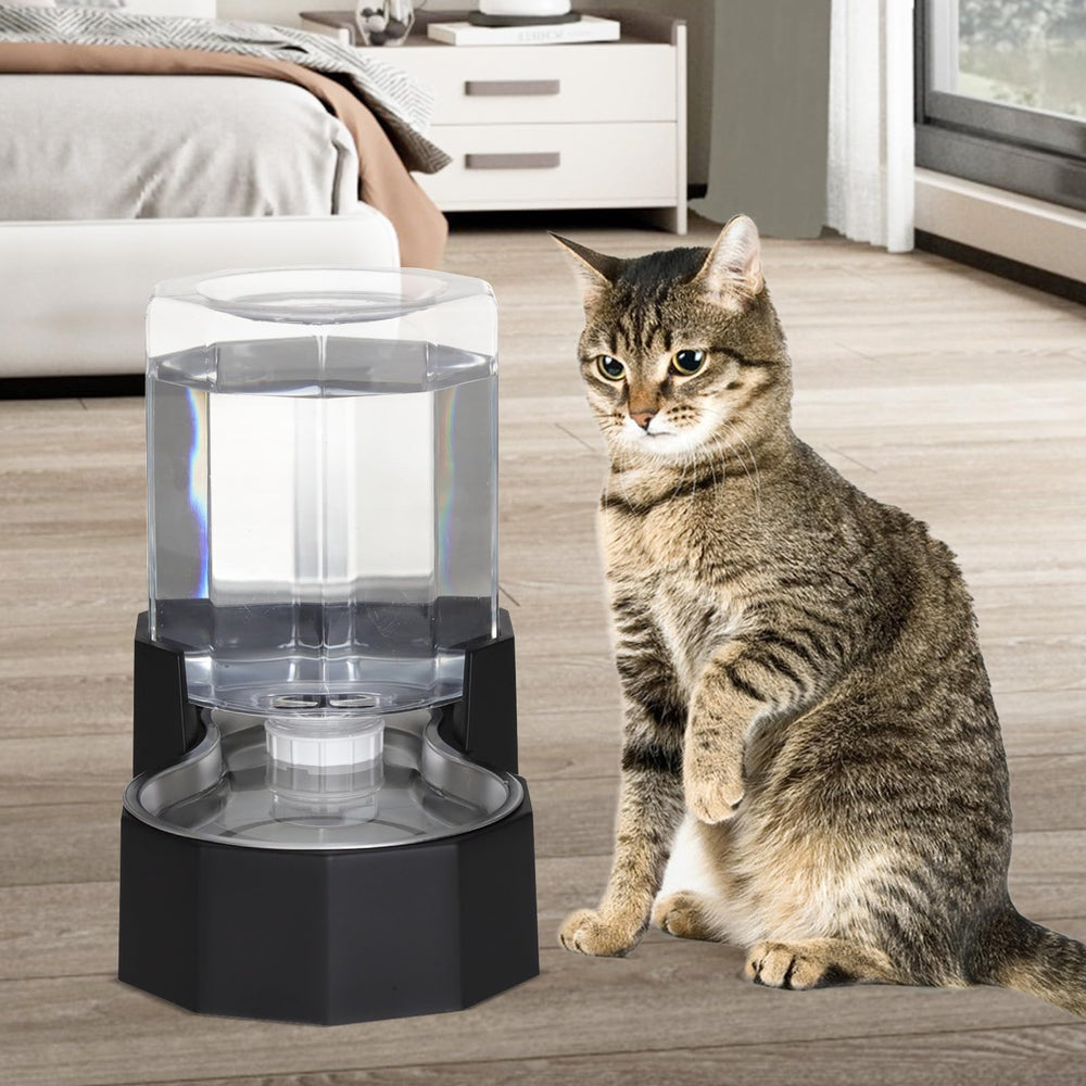 Sfozstra comparaison taille avec objet quotidien pour échelle pratique