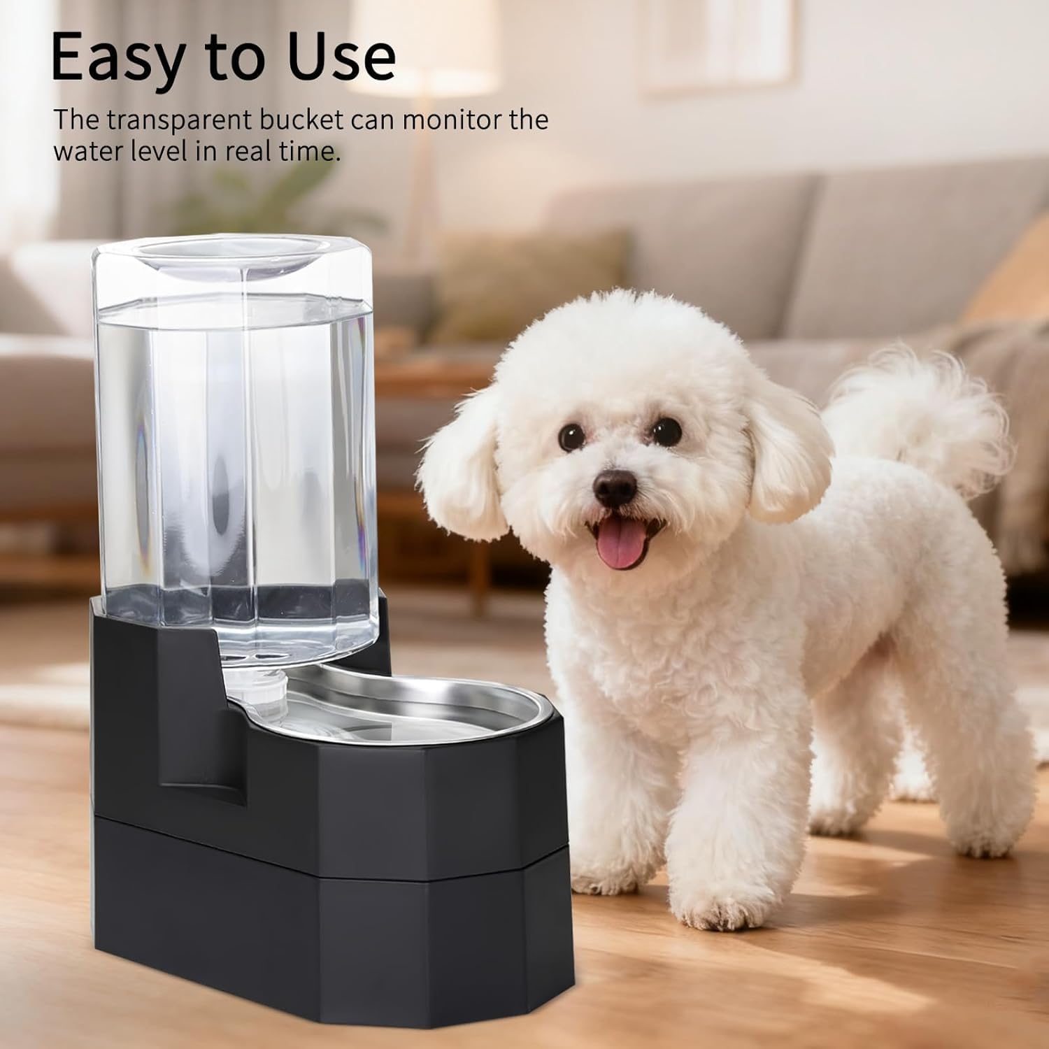 Sfozstra en usage par un grand chien illustrant confort et accessibilité de l'eau