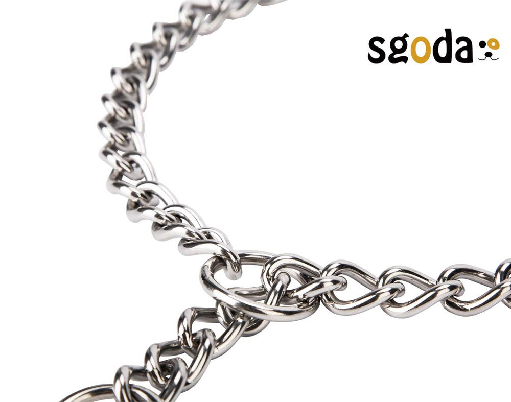SGODA collier en usage lors d'une promenade pour sécurité