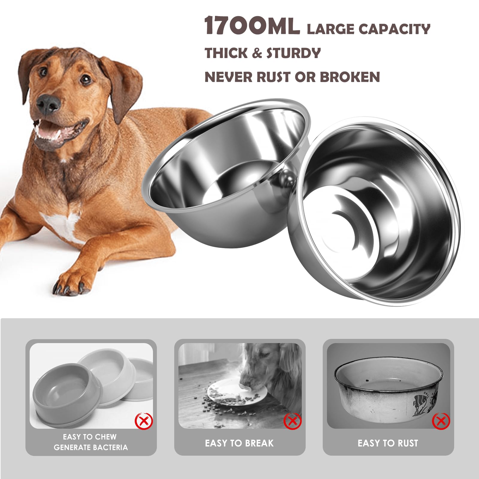 SHAINFUN comparaison d'échelle montre proportions pour chien moyen/grand