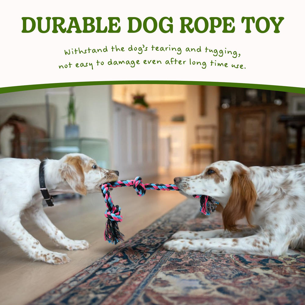 SHARLOVY comparaison de taille 50 cm pour choix approprié du chien