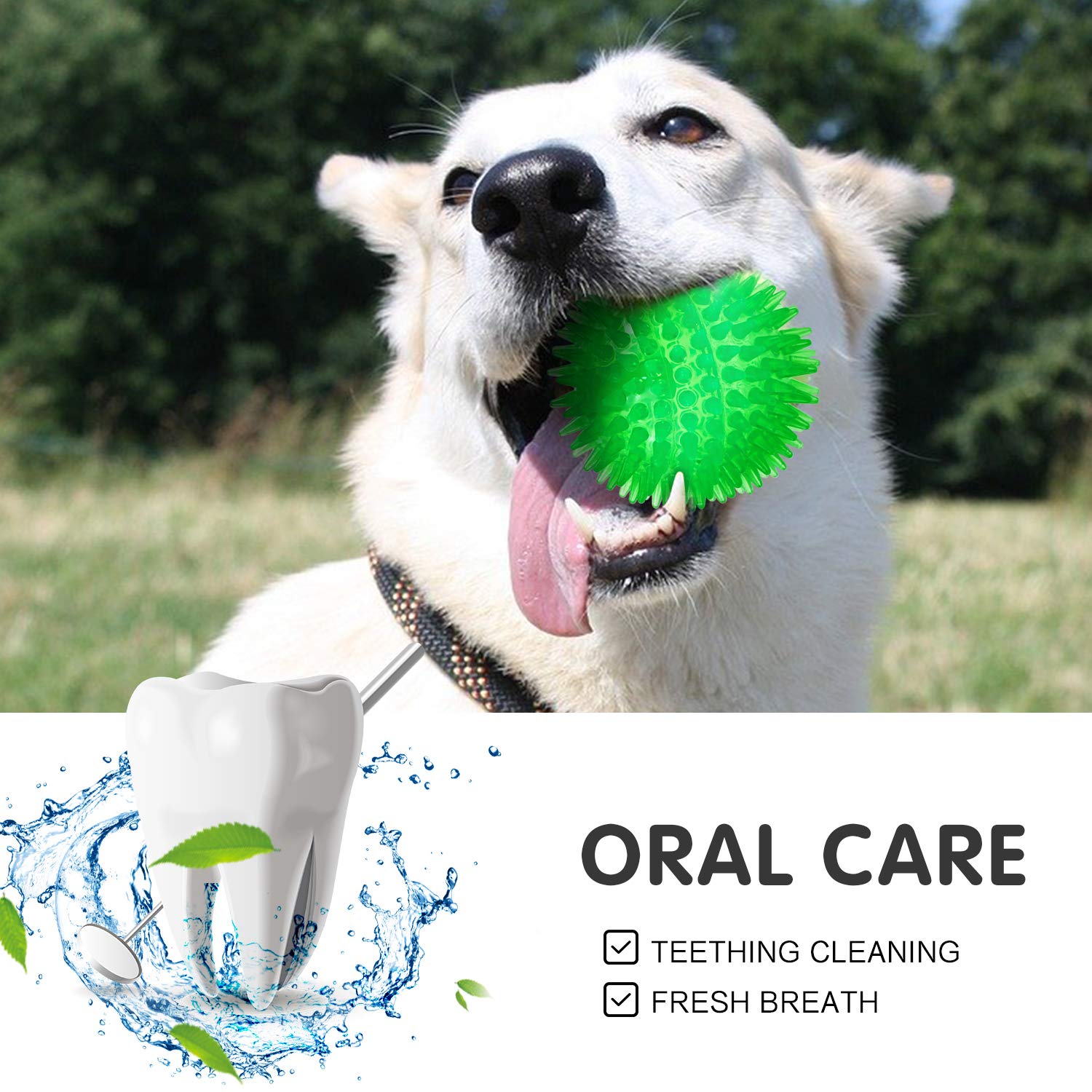 SHARLOVY ouverture montrant sifflet interne sécurisé et durable