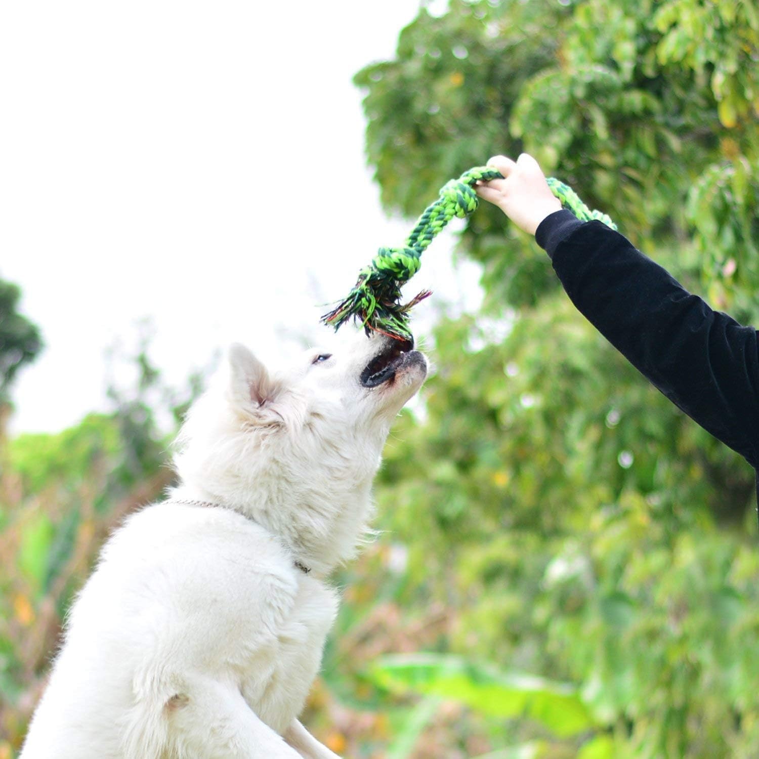 SHARLOVY comparaison taille illustrant 30,5 pouces pour grands chiens