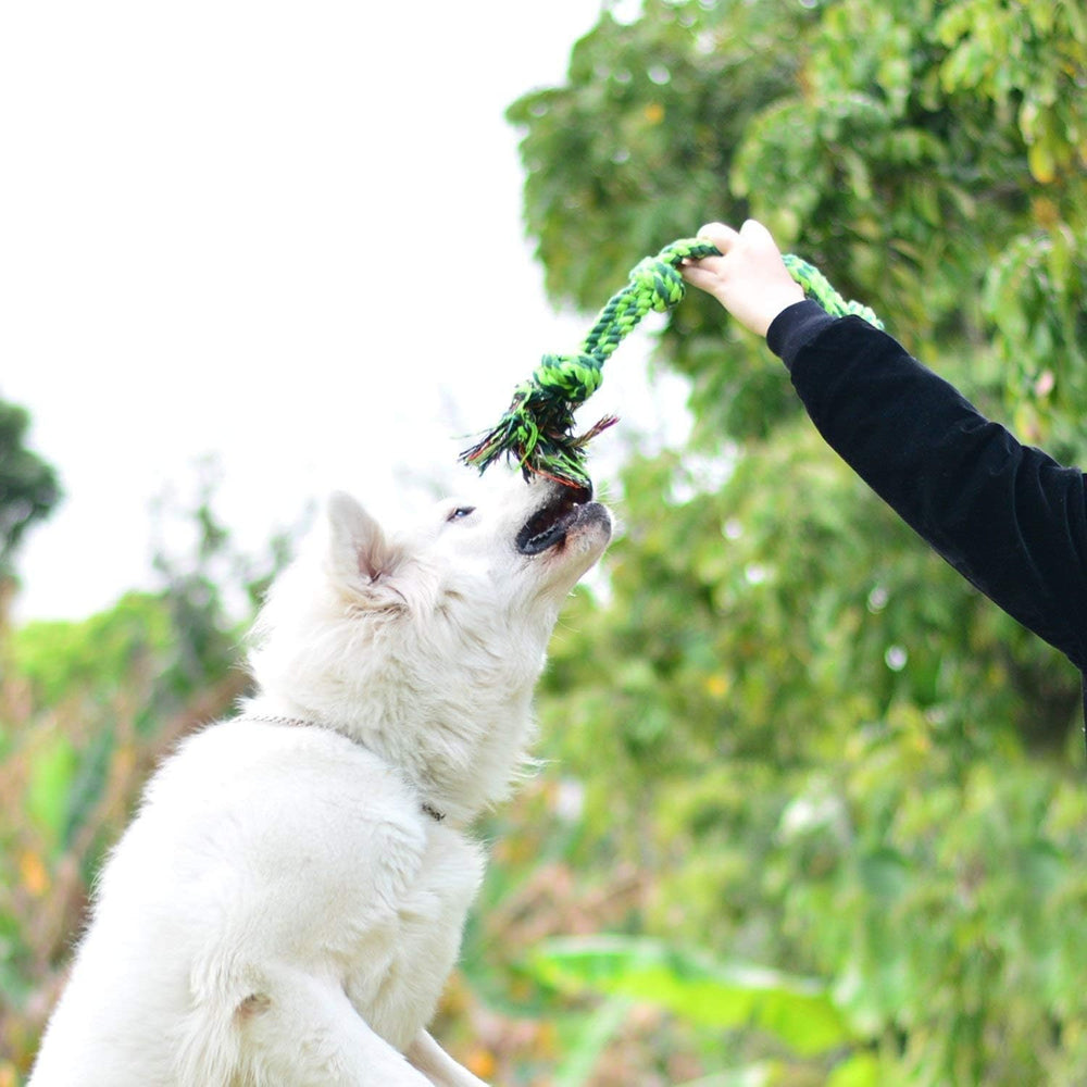 SHARLOVY comparaison taille illustrant 30,5 pouces pour grands chiens