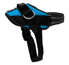 SHAWNCO vue avant du harnais montrant le gilet et la couleur Oceanic Blue, confort assuré
