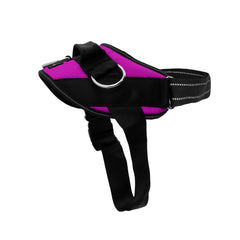 SHAWNCO harnais face avant montrant design orchid et confort