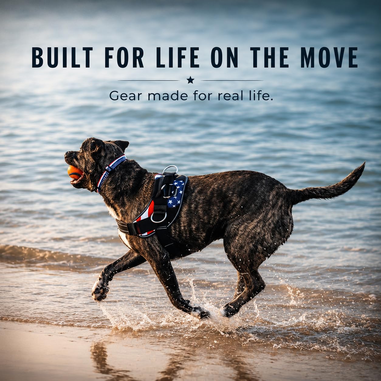 SHawnCo harnais Essential style Seafoam dans un décor extérieur moderne