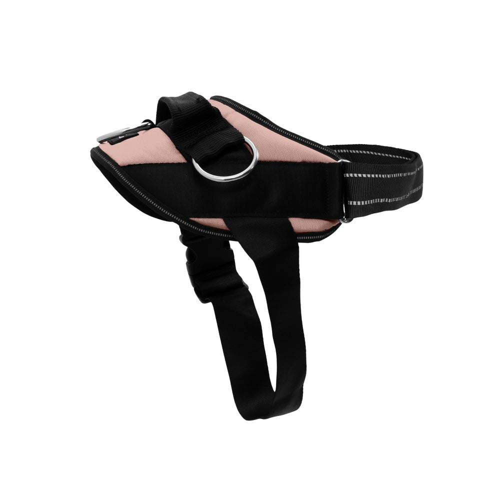 SHAWNCO harnais face avant rose gold montrant coupe et confort