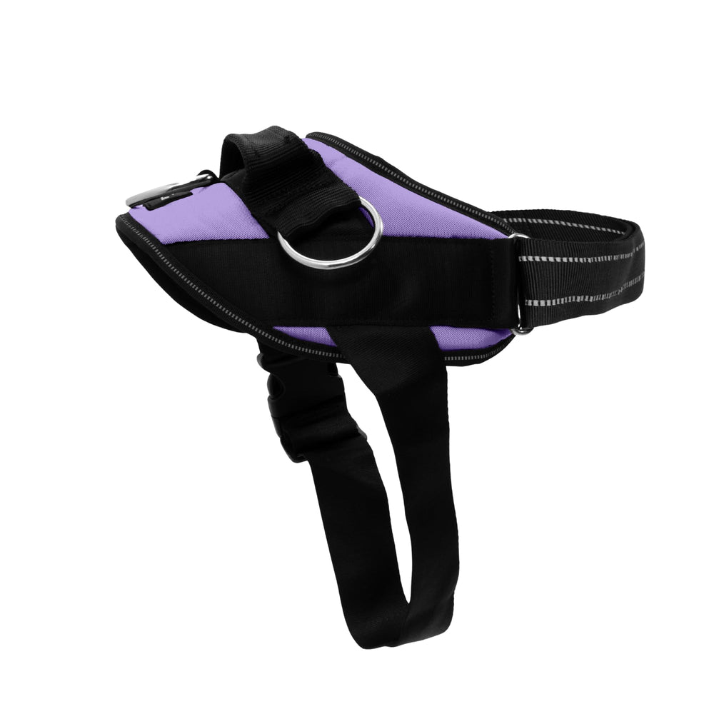 SHAWNCO harnais frontal ICY Lilac montrant ajustement sûr