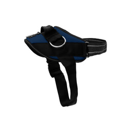 SHAWNCO vue avant du harnais Pacific Blue pour identification et confort