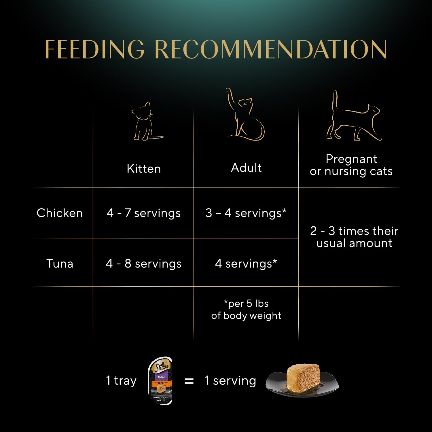 Sheba chat dégustant pâté dans la cuisine apportant confort et satisfaction