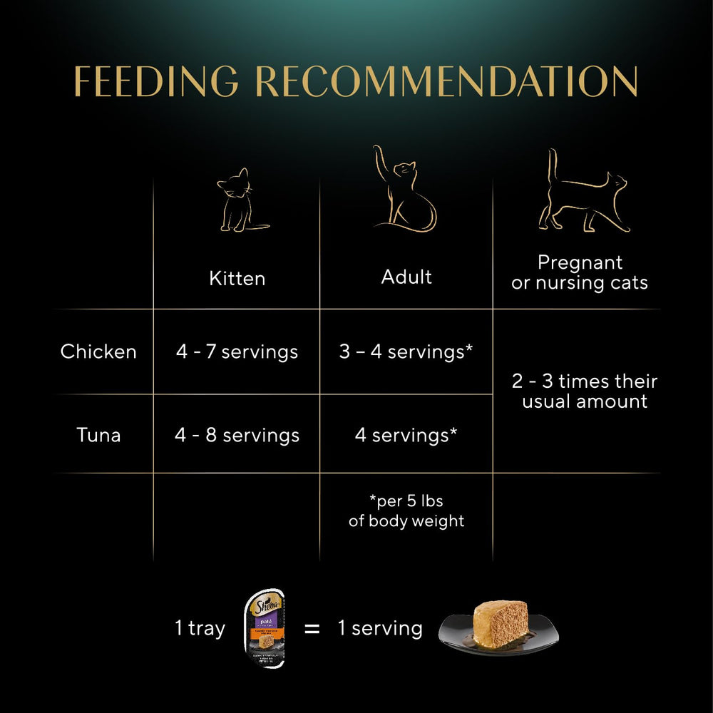 Sheba chat dégustant pâté dans la cuisine apportant confort et satisfaction