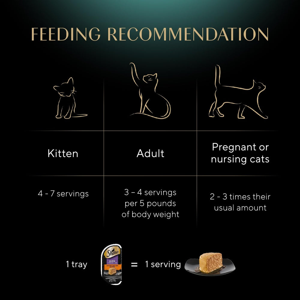 Sheba chat mangeant la pâté, favorise acceptation chez mangeurs difficiles