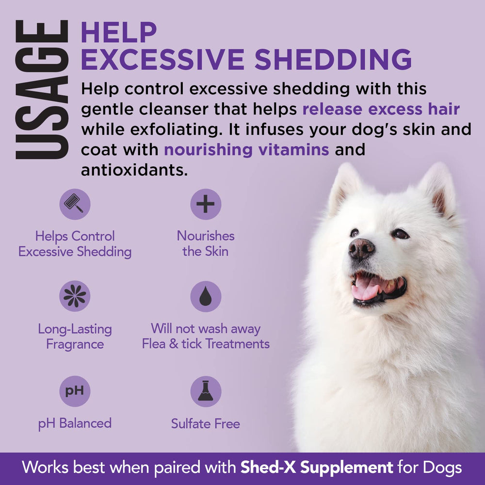 Shed-X shampooing appliqué sur chien en bain pour nettoyage efficace