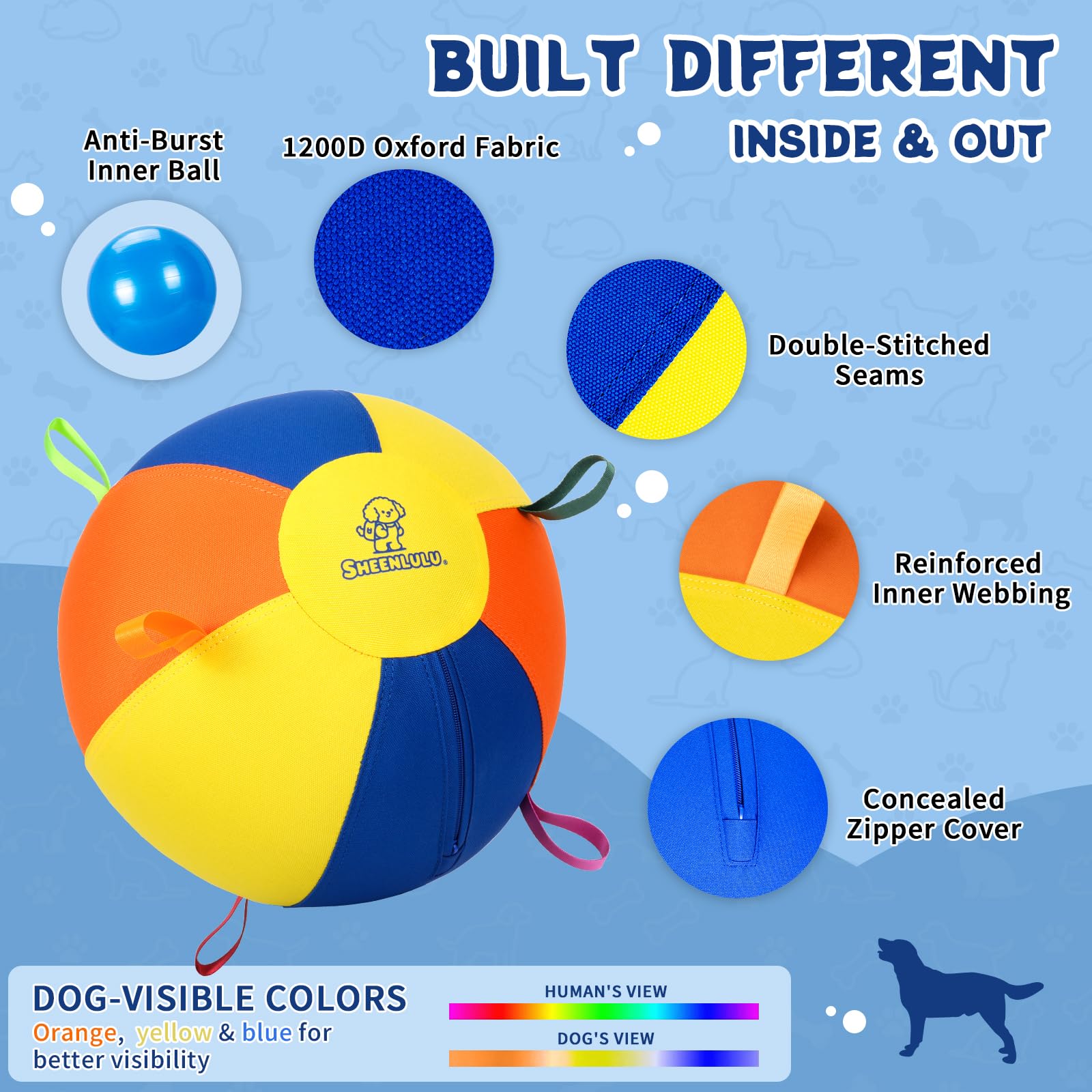 Chien jouant avec SHEENLULU montrant stimulation physique et amusement