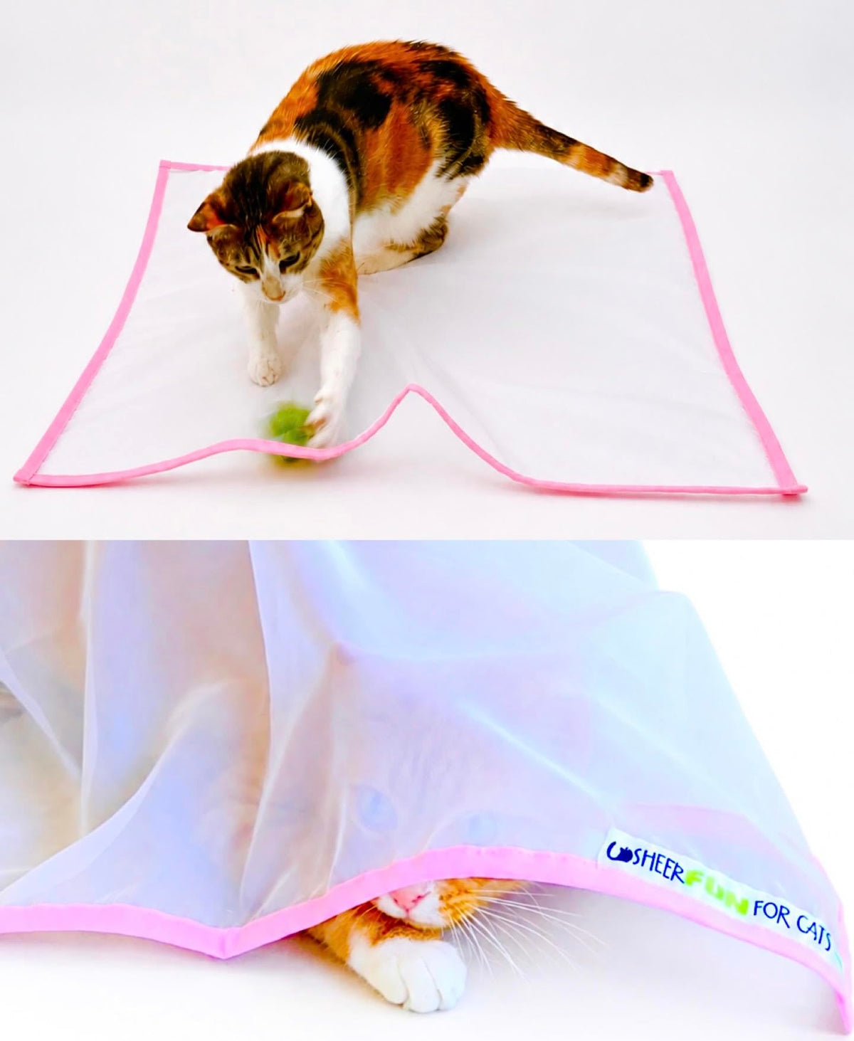Sheer Fun For Cats tapis rose face avant montrant la taille et l’effet translucide