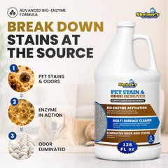 Sheiner's gros plan formule enzyme illustre texture active et pénétration efficace