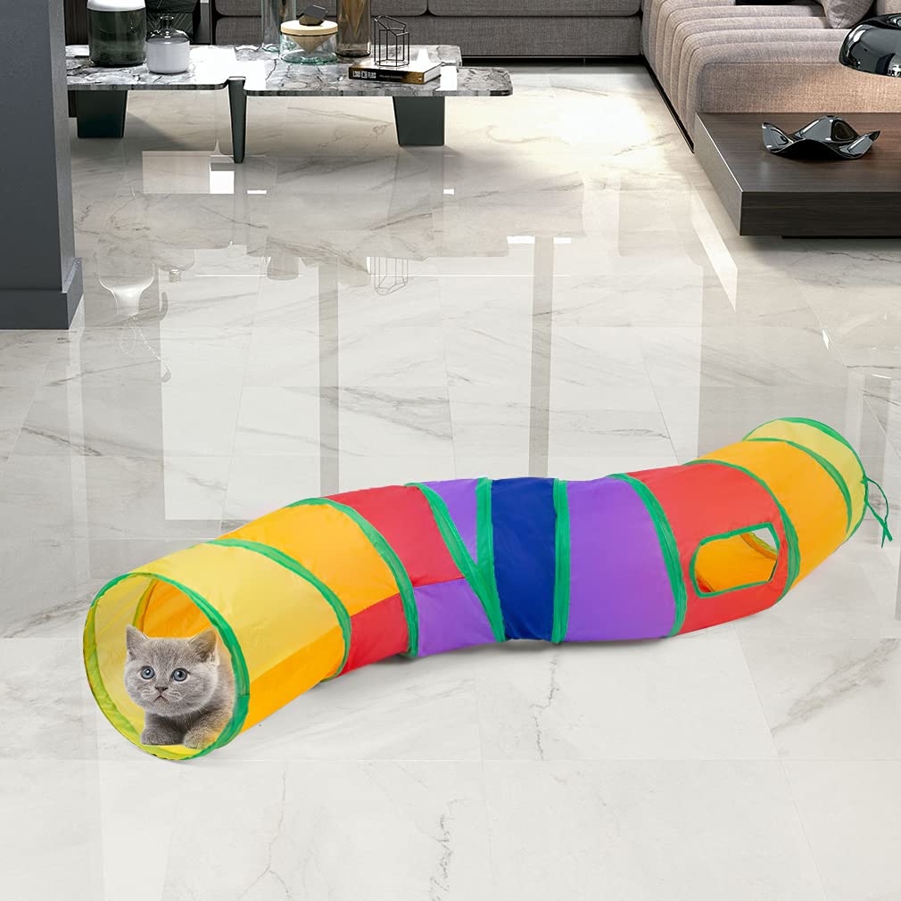 Sheldamy comparaison taille montre échelle adaptée pour petits animaux