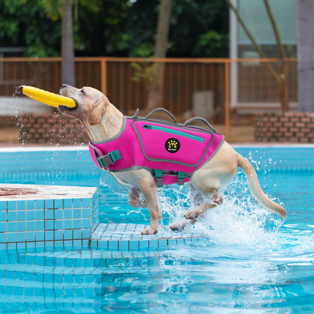Sheripet chien portant gilet en eau pour nage sécurisée et contrôle facile