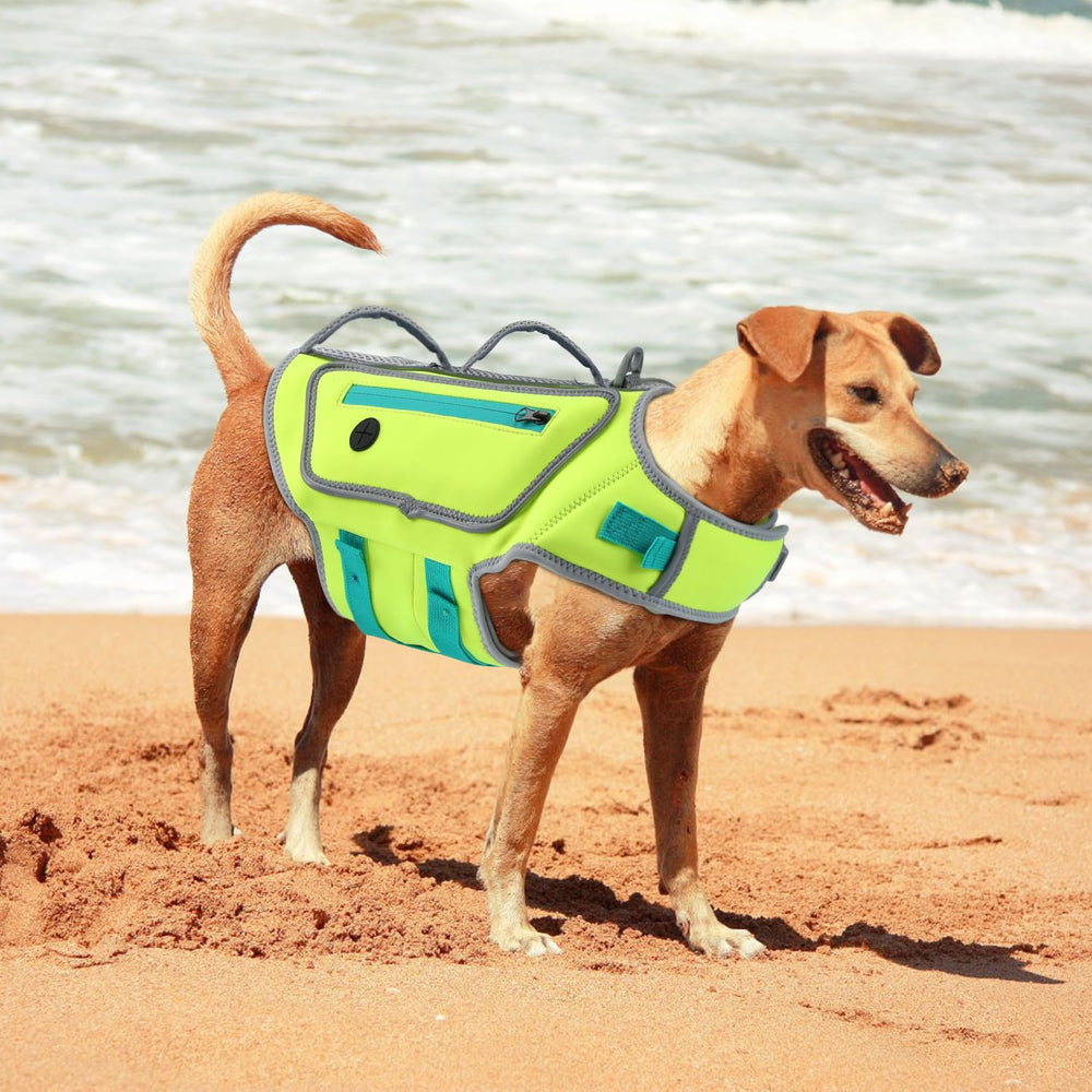 Sheripet tableau taille posé à côté d’un chien pour choisir la bonne taille