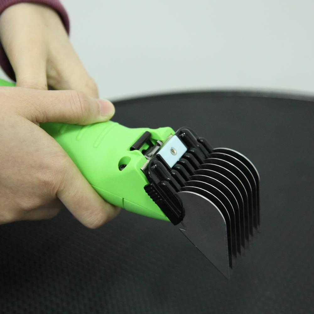 shernbao peigne utilisé sur chien lors de la tonte, finition uniforme visible