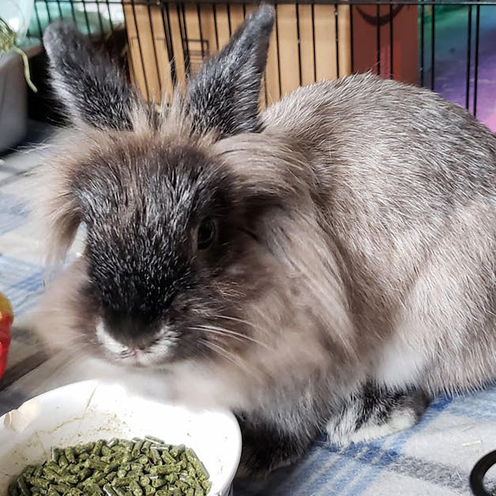 Sherwood Pet Health étiquette lisible avec vitamines et minéraux inclus