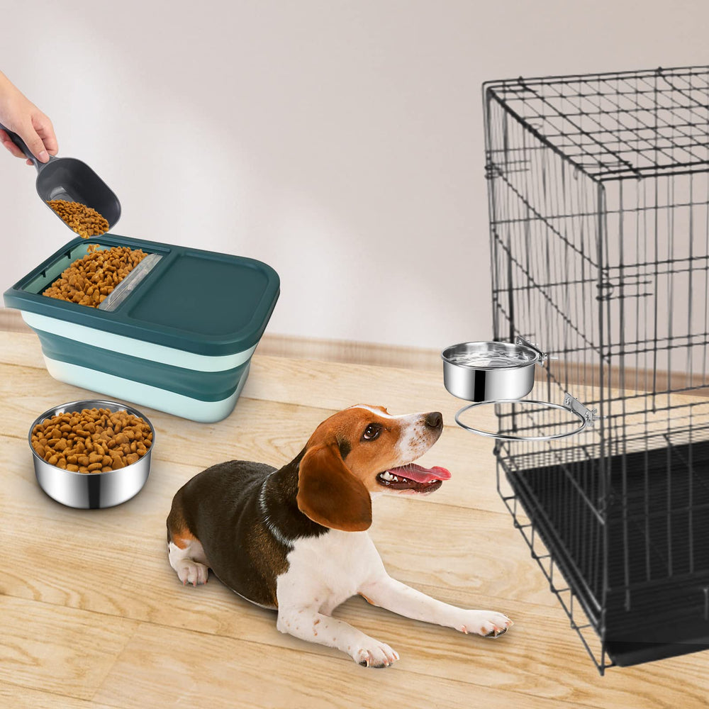 ShineMe comparaison avec chien indiquant taille adaptée pour chiens moyens