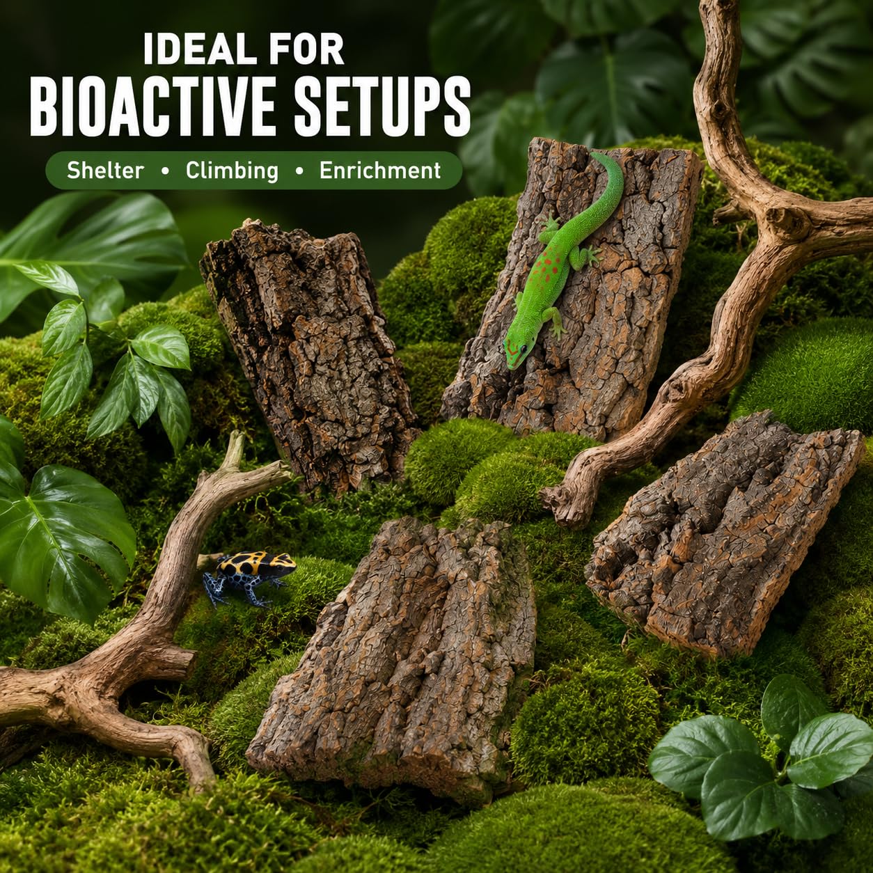 SHINEOFI écorce décor naturel vivarium illustrant rendu photogénique