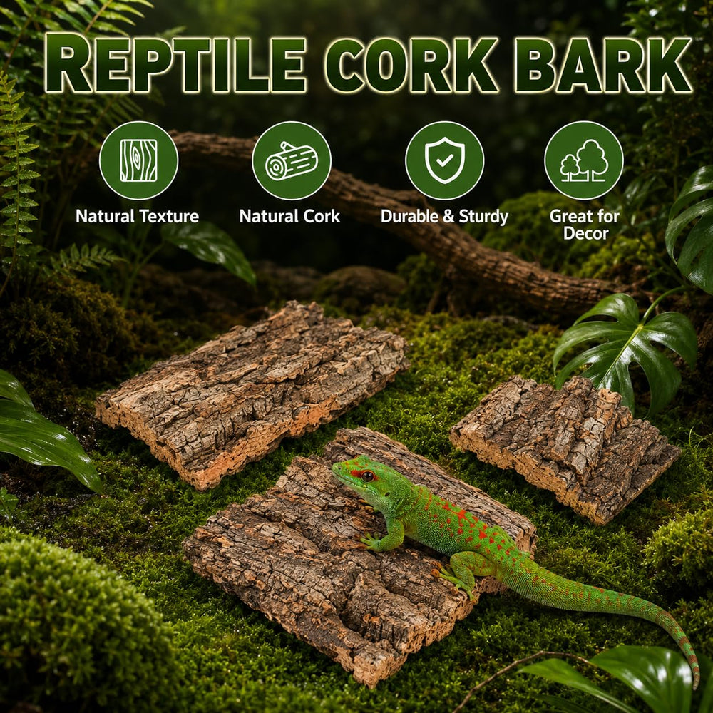 SHINEOFI écorce enclos avec gecko montrant zone de repos sécurisante
